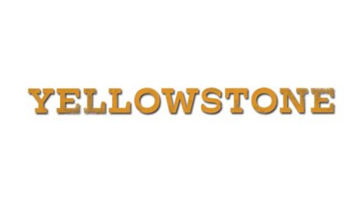 What does the Y brand mean on Yellowstone?