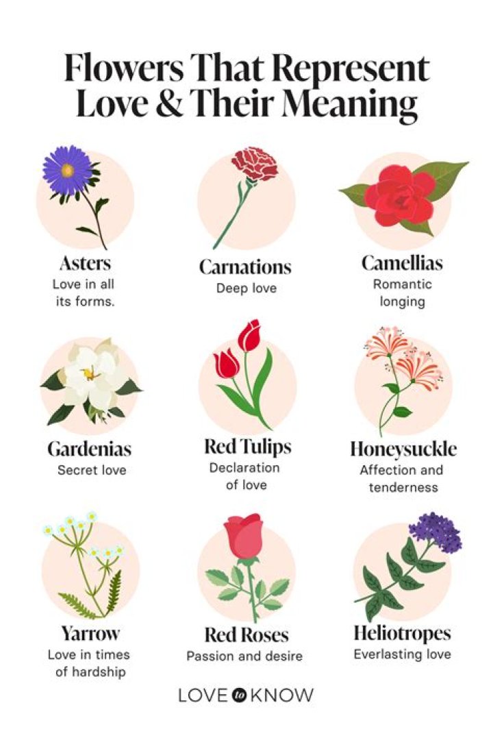 What flower means I think of you?