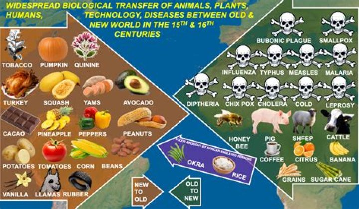 What foods were created by slaves?