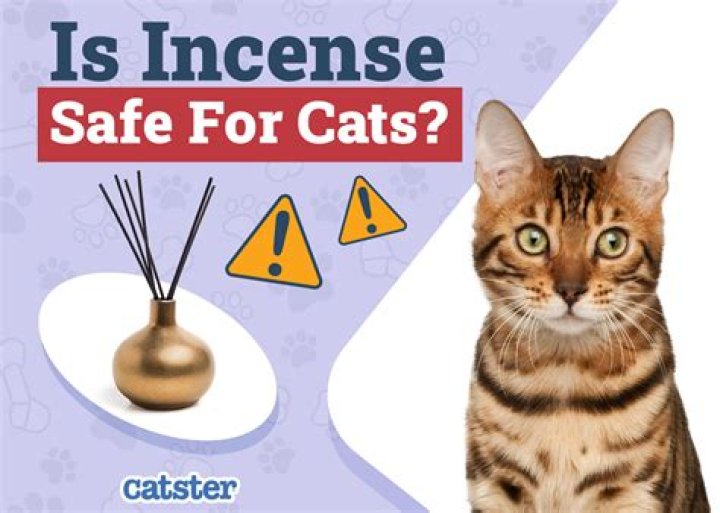 What incense is safe for cats?