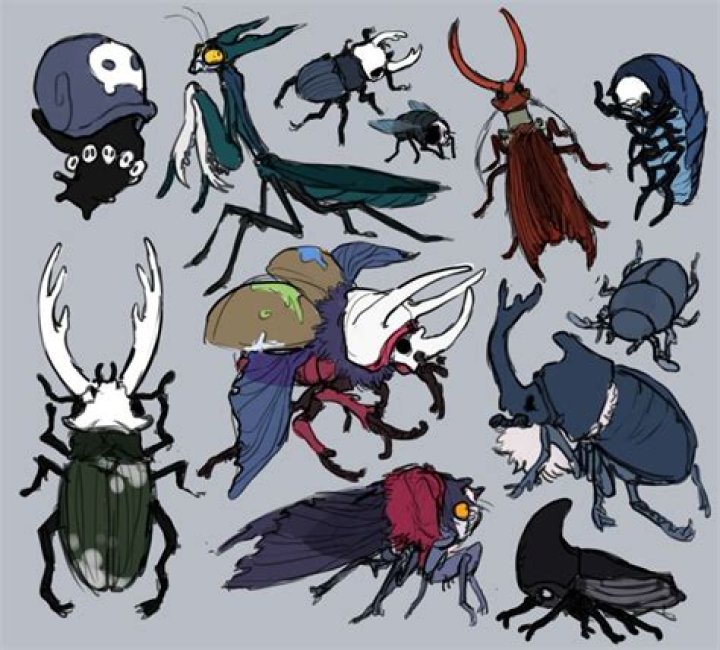 What insect is the hollow Knight?