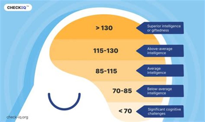 What IQ means?