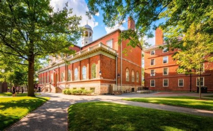 What is a B+ at Harvard?