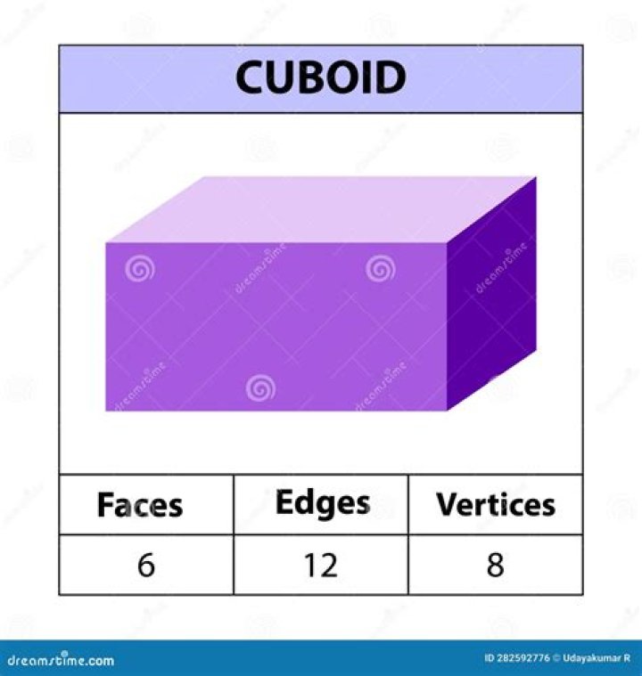 What is a vertices of a cuboid?