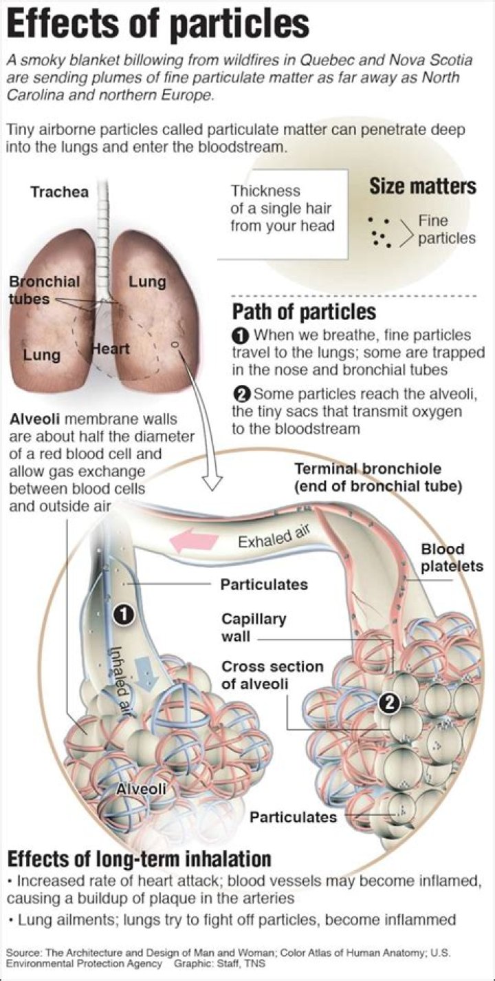 What is particulate theory?