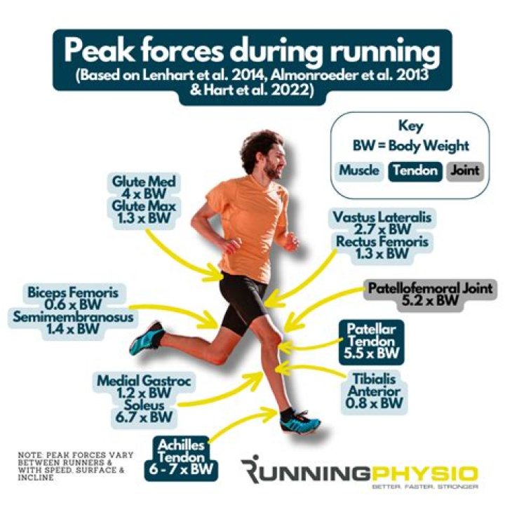 What is the best running speed to lose weight?