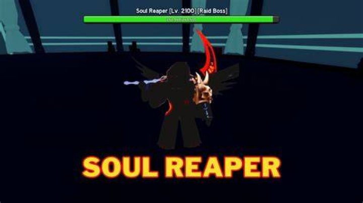 What is the lifespan of a Soul Reaper?