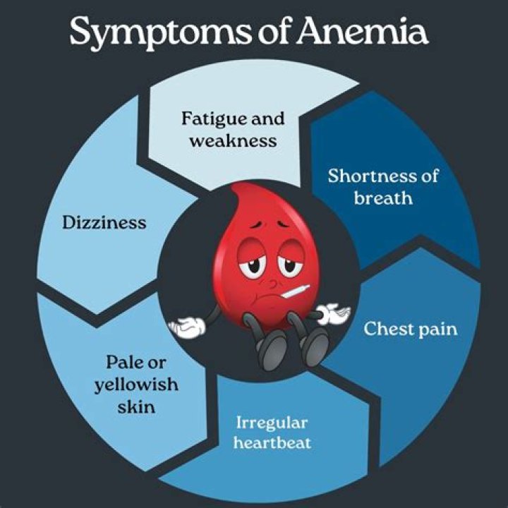 What is the main cause of anemia?