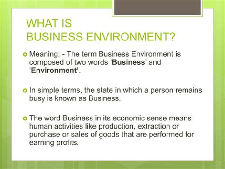What is the meaning of business environment in 100 words?