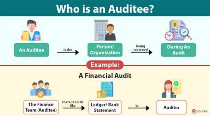 What is the role of an auditee?