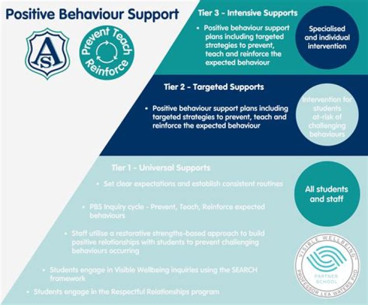 What strategies can be used to support positive behaviour?