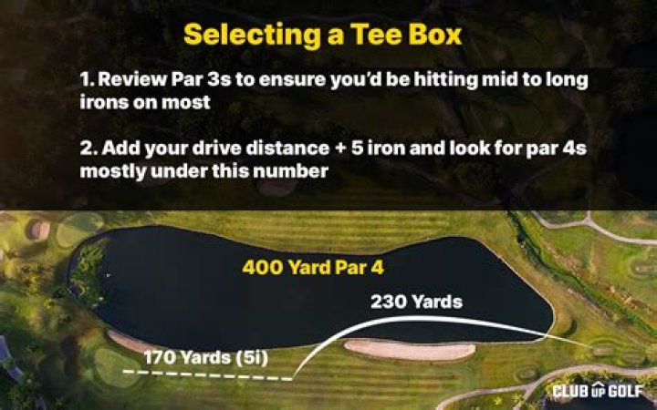 What tees should you play from in golf?