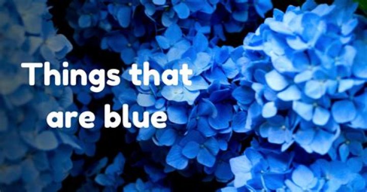 What things are naturally blue?