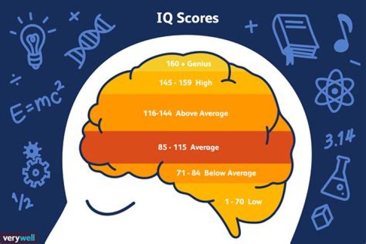 Which majors have the highest IQ?
