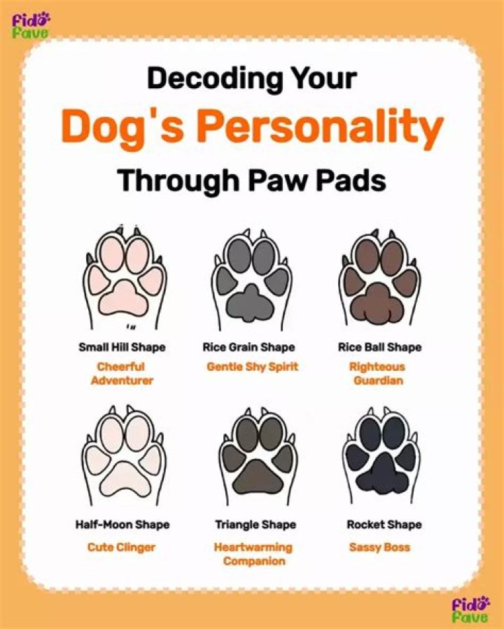 Why are dogs pads yellow?