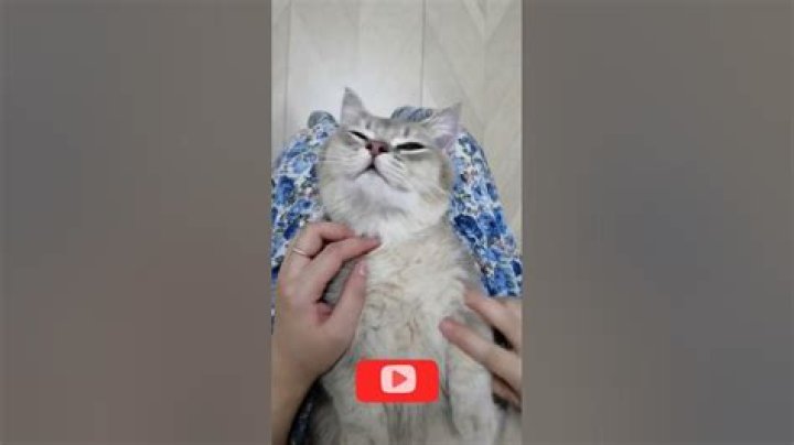 Why do I always get catcalled?