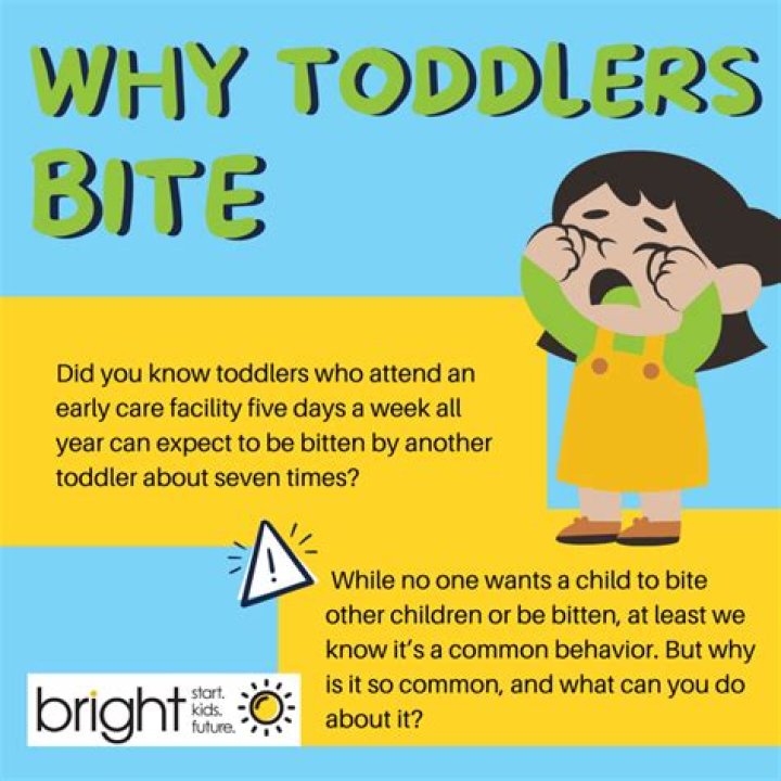 Why does my toddler bite me?