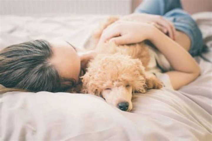 Why is my dog suddenly obsessed with me?